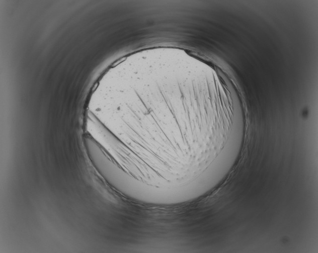 X0000115681051200912241436
