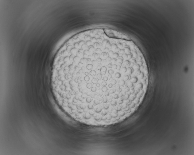 X0000115681054200912241436