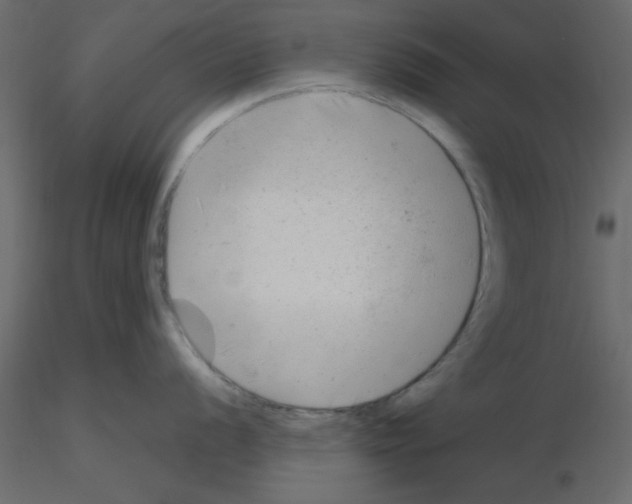 X0000115681056200912241436