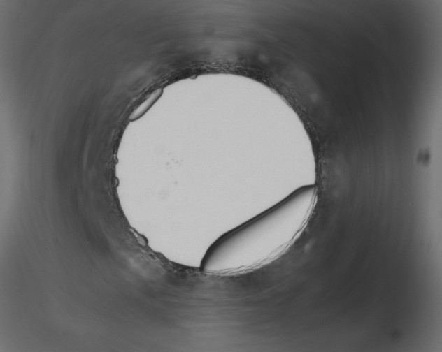 X0000115681057200912241436
