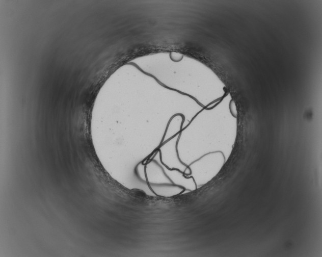 X0000115681058200912241436