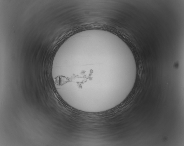 X0000115681060200912241436