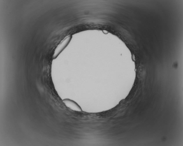 X0000115681061200912241436