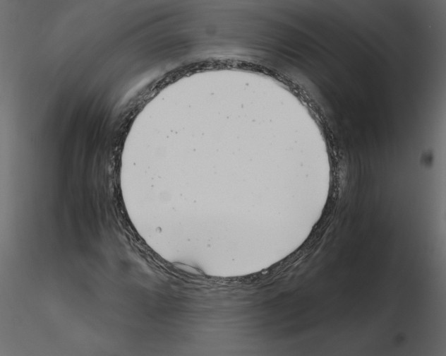 X0000115681064200912241436