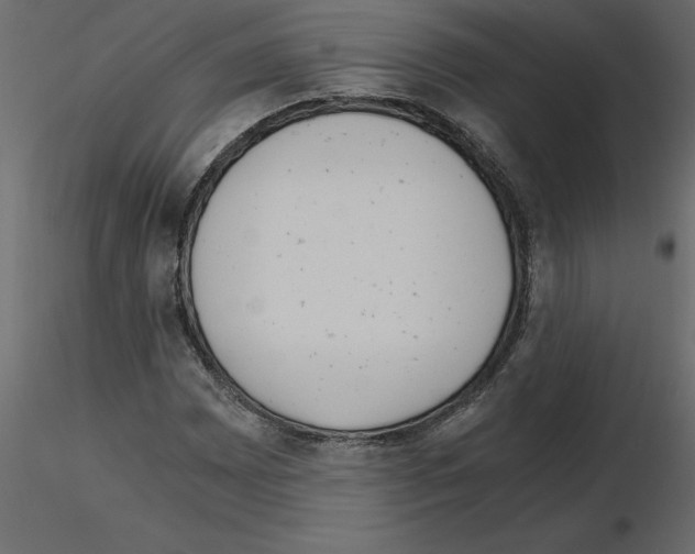 X0000115681065200912241436
