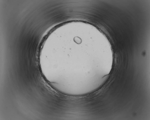 X0000115681068200912241436