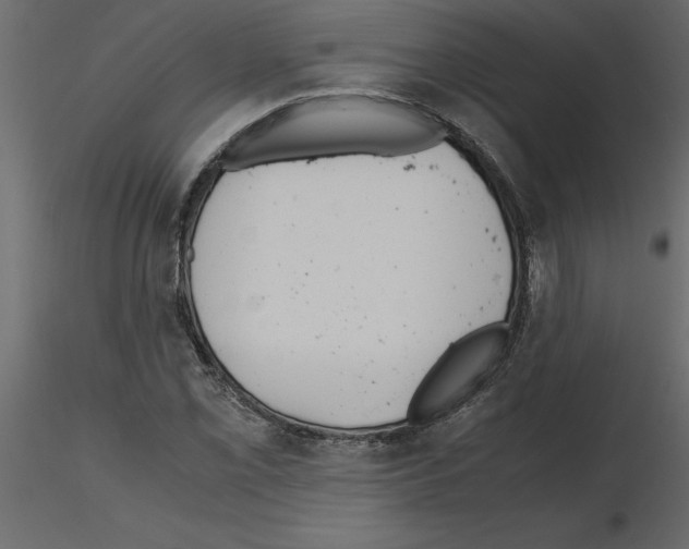X0000115681069200912241436