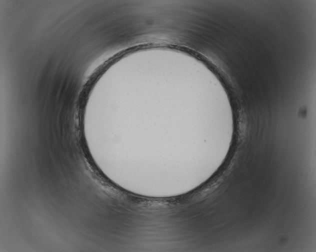 X0000115681070200912241436