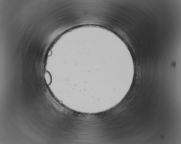 X0000115681072200912241436