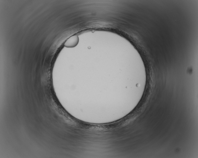 X0000115681073200912241436