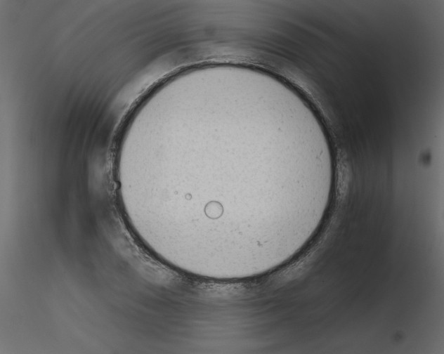 X0000115681074200912241436