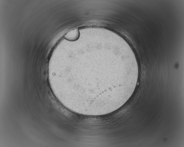 X0000115681075200912241436