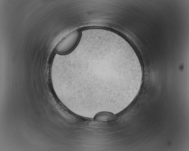 X0000115681077200912241436