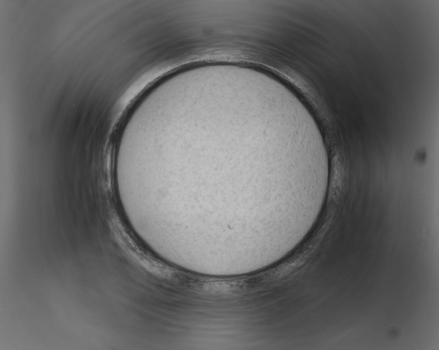 X0000115681078200912241436