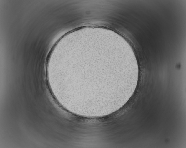 X0000115681079200912241436