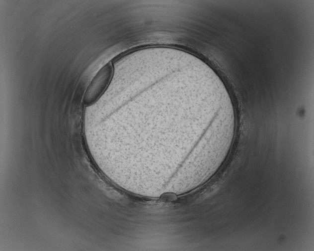 X0000115681081200912241436