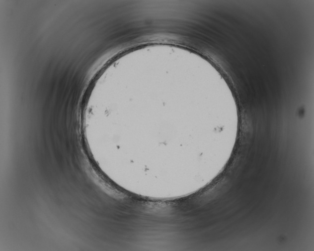 X0000115681082200912241435