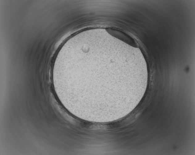 X0000115681083200912241435