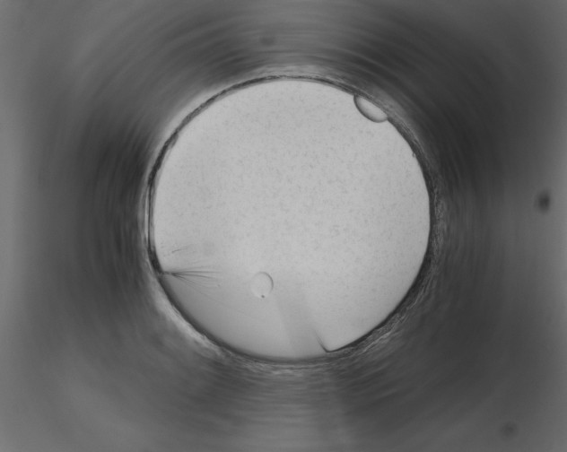X0000115681084200912241435