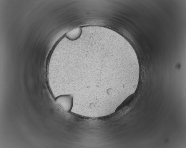 X0000115681087200912241435
