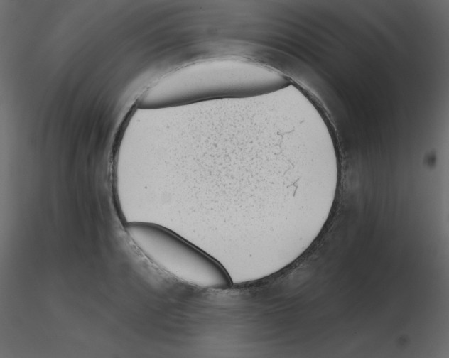 X0000115681088200912241435