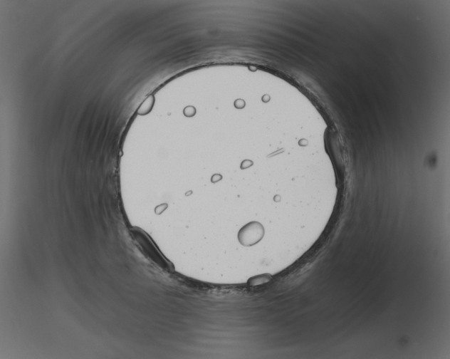 X0000115681089200912241435