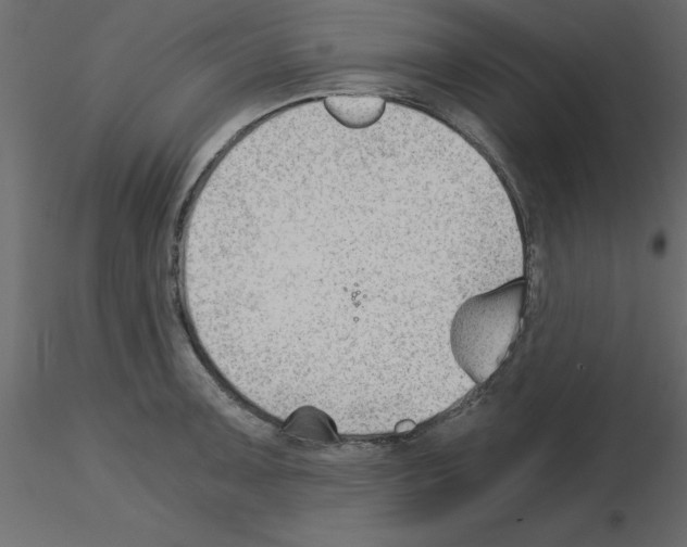 X0000115681091200912241435