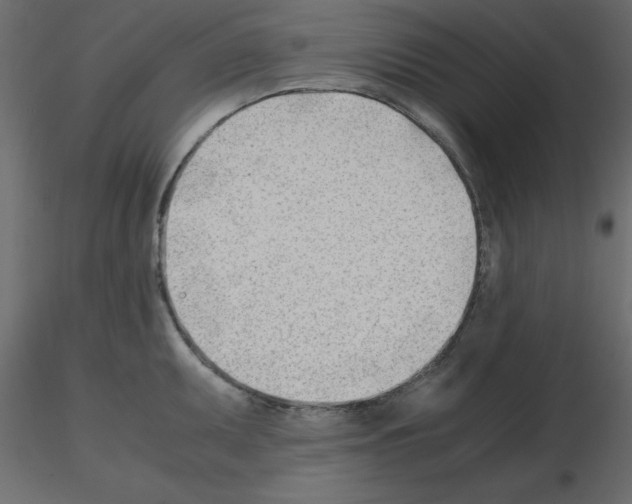 X0000115681095200912241435