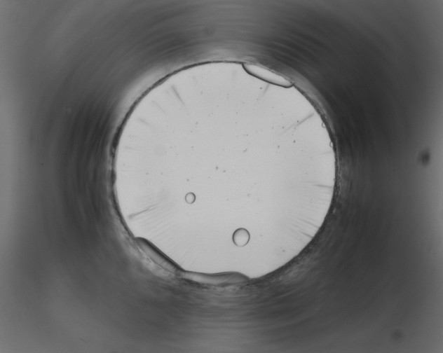 X0000115681096200912241435