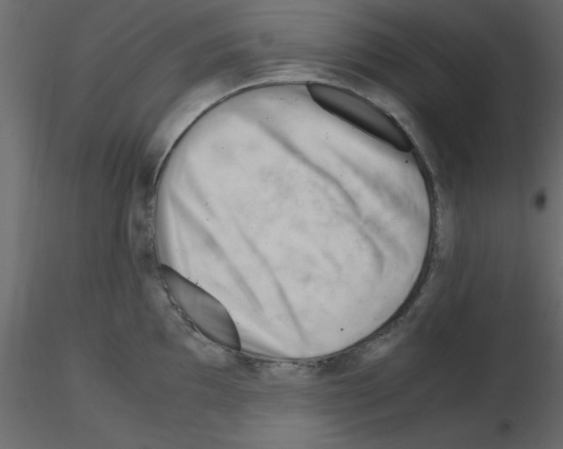 X0000115681097200912241435