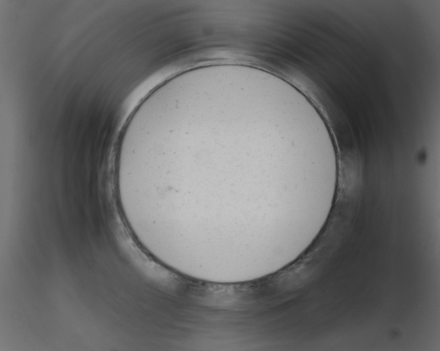 X0000115681098200912241435