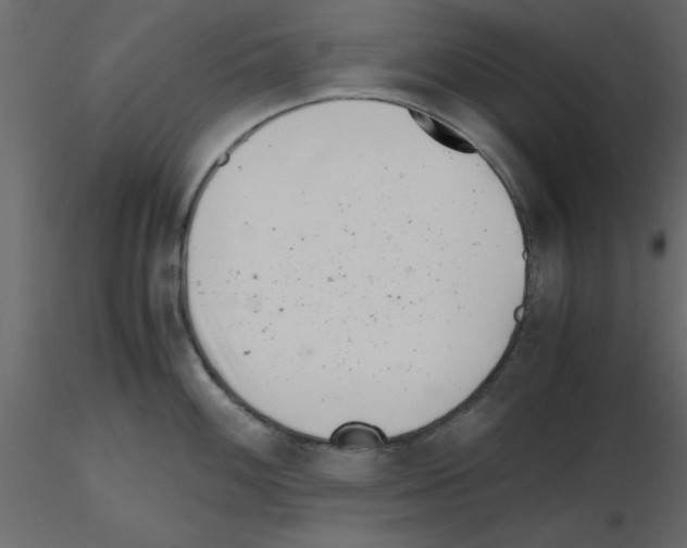 X0000115681100200912241435