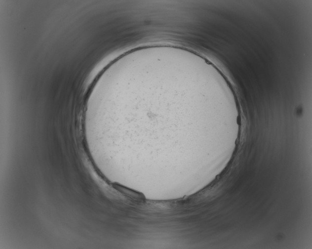 X0000115681101200912241435
