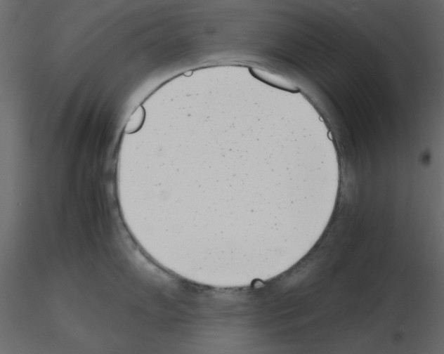 X0000115681102200912241435