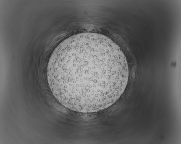 X0000115681105200912241435