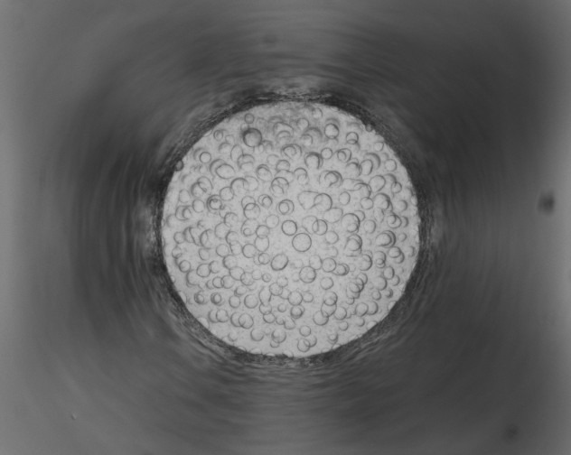 X0000115681106200912241435