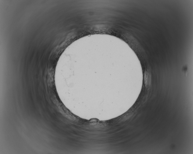 X0000115681107200912241435