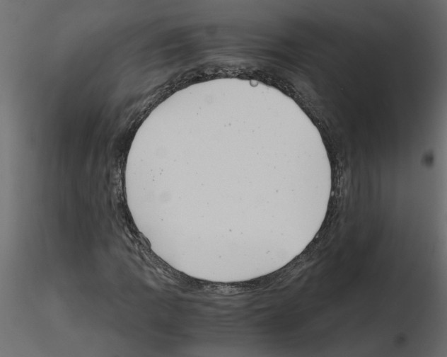 X0000115681109200912241435