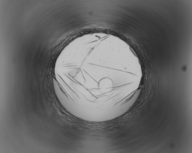 X0000115681110200912241435