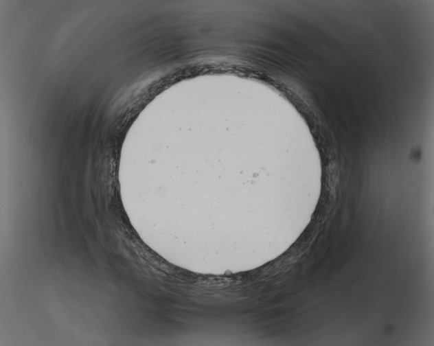 X0000115681111200912241435