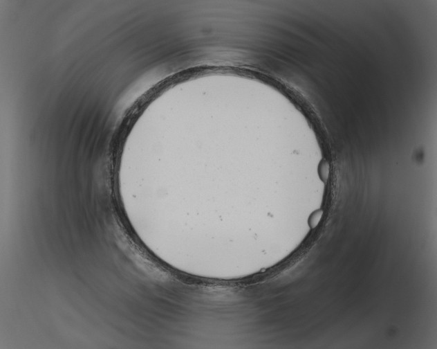X0000115681114200912241435