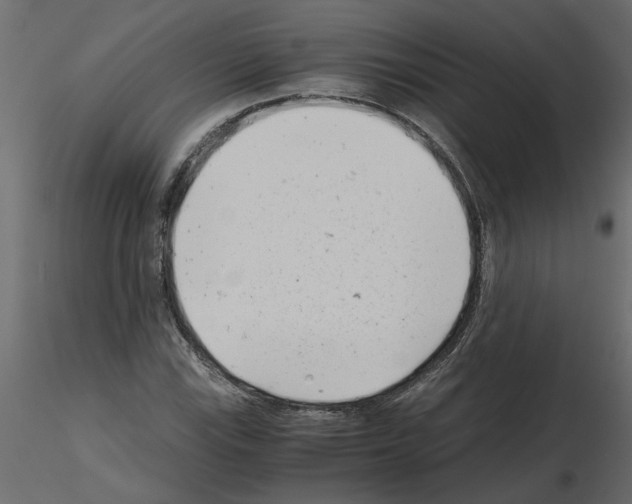 X0000115681115200912241435