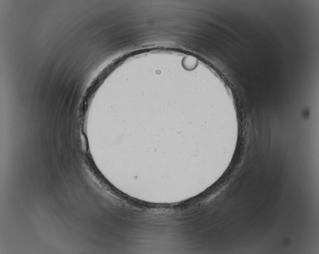 X0000115681118200912241435