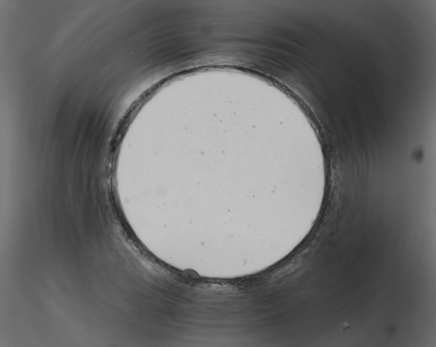 X0000115681119200912241435