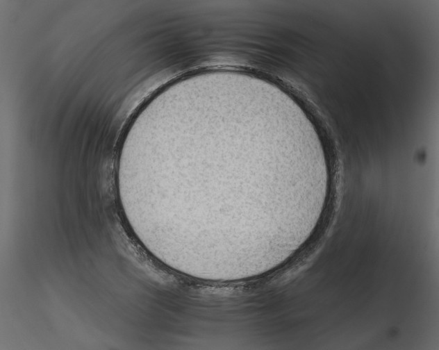 X0000115681121200912241435