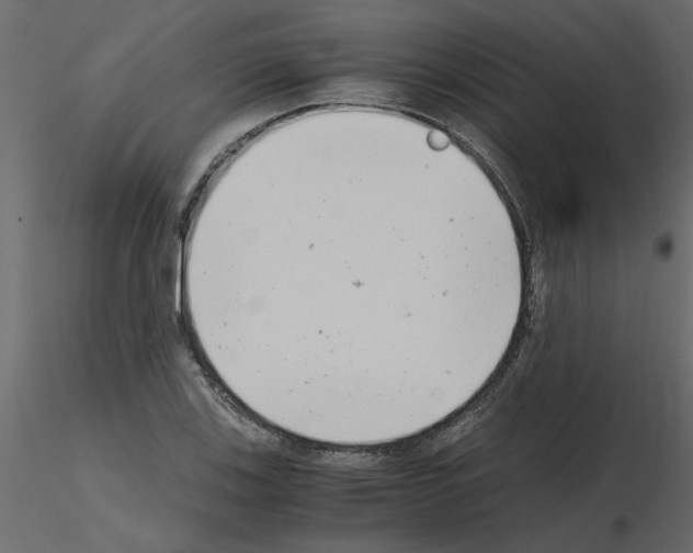 X0000115681123200912241435