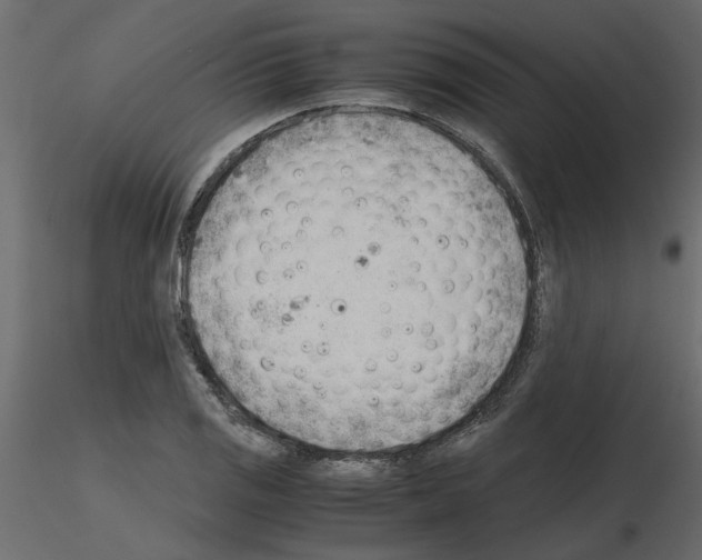 X0000115681125200912241435