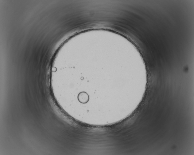 X0000115681126200912241435