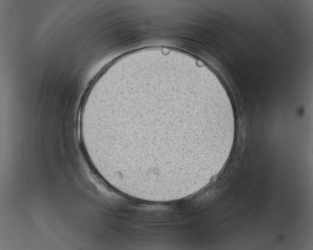 X0000115681127200912241435