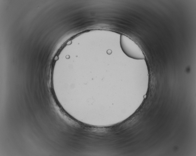 X0000115681131200912241435